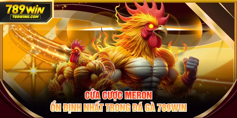 Cửa cược Meron ổn định nhất trong đá gà 789WIN